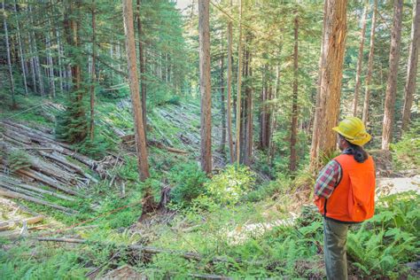 ambitious partnership delivering   generation   growth