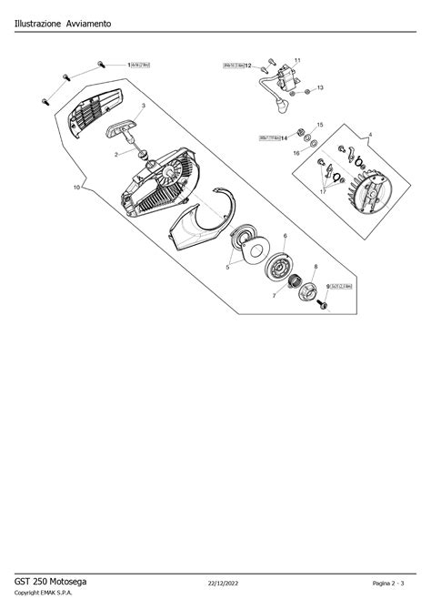 Kit Avviamento Completo Per Motosega Da Potatura Oleomac