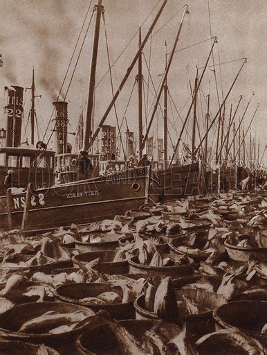 Great Yarmouth Fishing Fleet Stock Image Look And Learn