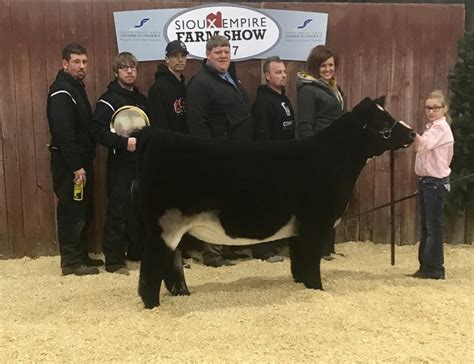 Powell Cattle Co Iowa Competitive Edge Genetics