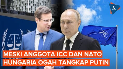 Hungaria Negara Anggota Icc Sekaligus Nato Yang Enggan Tangkap Putin