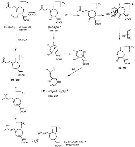 The Proposed Fragmentation Pattern Of Compounds 1 And 2 Download