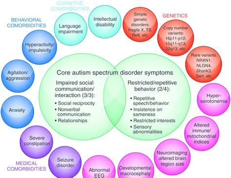 Autism Symptoms Comorbidities And Biomarkers The Core Symptoms Of