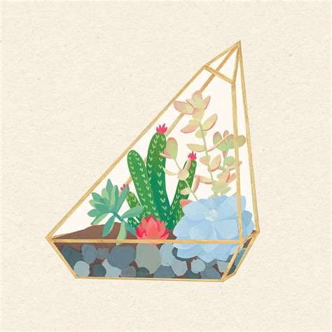 Terrarium Succulents on Behance