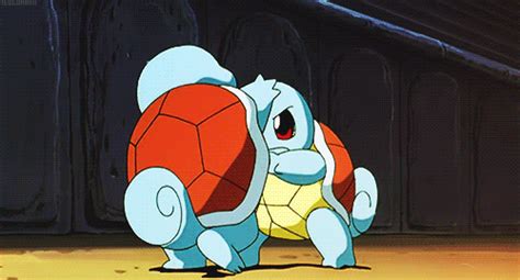 Squirtle Crying Gif