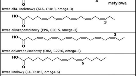 Wolne kwasy tłuszczowe YouTube