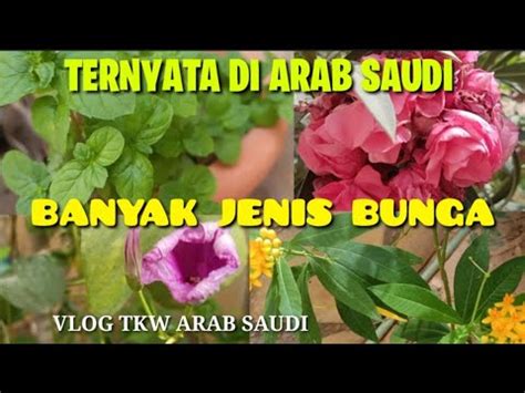 VLOG TKW ARAB INTIP KEBUN DALAM RUMAH MAJIKAN Taman Bunga YouTube