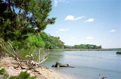 The Edisto River, South Carolina - Song of the Paddle Forum