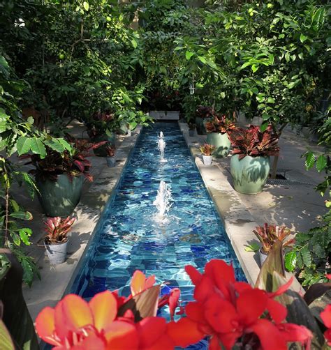 Living Rootless: Washington, D.C.: National Botanical Garden