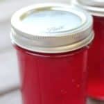 Canning Plum Jelly - Creative Homemaking