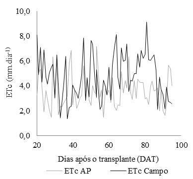 Varia O Da Evapotranspira O Da Cultura Etc Em Condi Es De Campo E