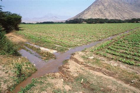 Irrigation Systems In Ancient Egypt