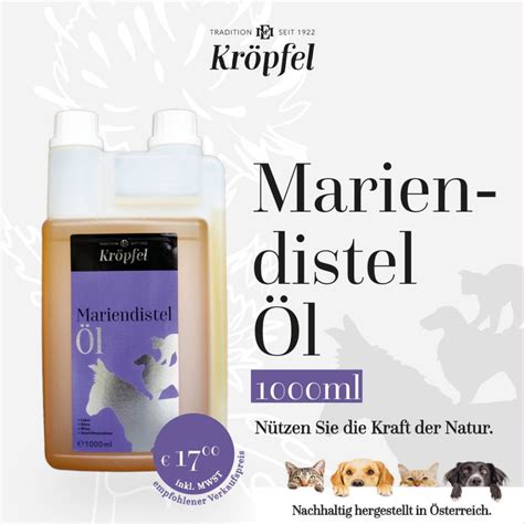 Mariendistel L F R Tiere Hund Katze Pferd Vogel Und Nagetier