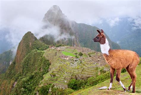 Machu Picchu In Peru De Plaats Van De Erfenis Van De Wereld Van Unesco