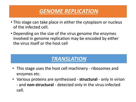 Virus structure | PPT