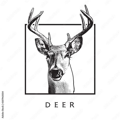 Deer Head Black Drawing Isolated On White Background Vector