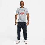 Liverpool T Shirt D Entra Nement Dri Fit Avant Match Gris Rouge