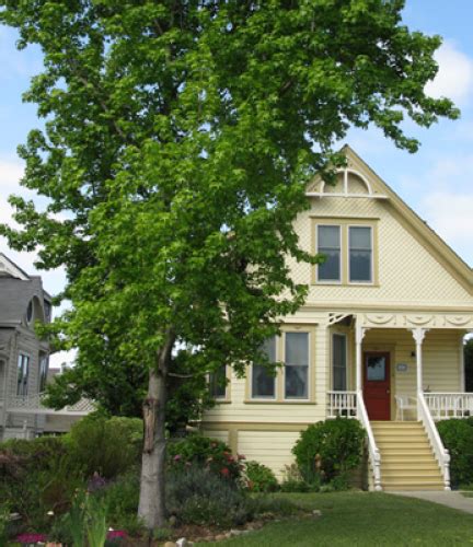 Liquid Amber Drought Tolerant Trees San Diego