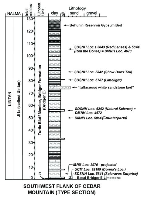 Schematic Stratigraphic Column Of Type Section Turtle Bluff Member On