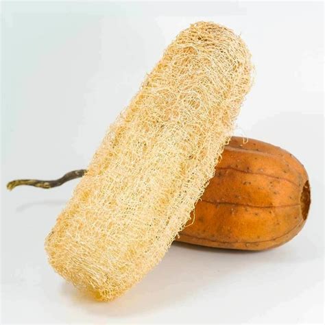 ESPONJA VEGETAL DE LUFFA 100 BIODEGRADABLE