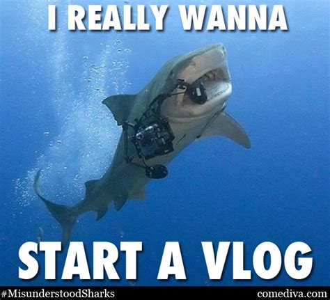 The Misunderstood Shark Meme - Comediva