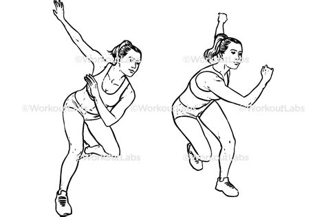 Side Lateral Shuffles Hops Skaters Workoutlabs Exercise Guide