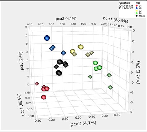 Three Dimensional Principal Component Analysis Plot Representing The Download Scientific