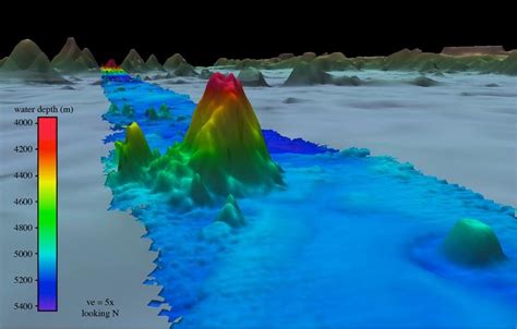 In Photos New Seamount Discovered Beneath Pacific Ocean Live Science