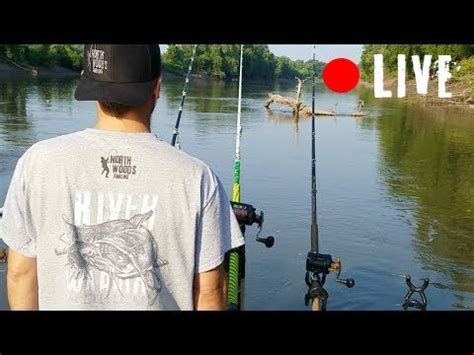 Cut Bait Vs Live Bait Flathead Catfishing LIVE With Luke YouTube