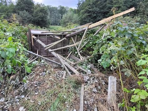 Myśliwi pilnowali upraw Zobaczyli coś za co zniszczono im ambonę