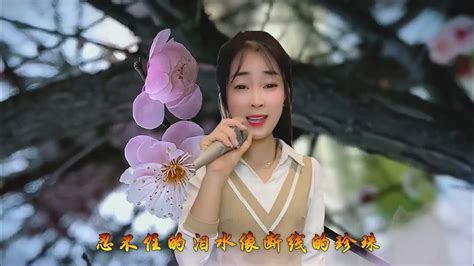 女歌手一首民谣情歌《输》唱出许多单身人的心声，越听越心酸音乐民谣好看视频 Youtube