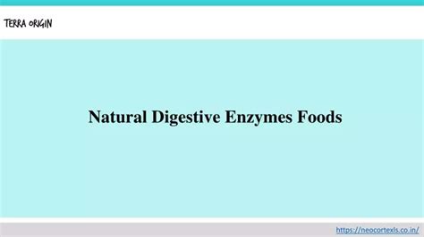 PPT Natural Digestive Enzymes Foods PowerPoint Presentation Free