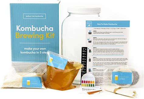 Joshua Tree Kombucha Complete Starter Kit Kombucha Scoby With Strong