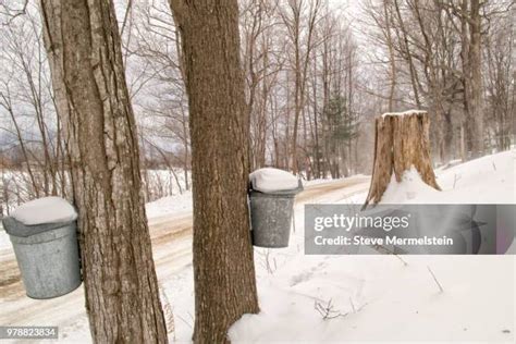 Charlotte Vermont Photos and Premium High Res Pictures - Getty Images