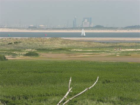 aars log de kwade hoek