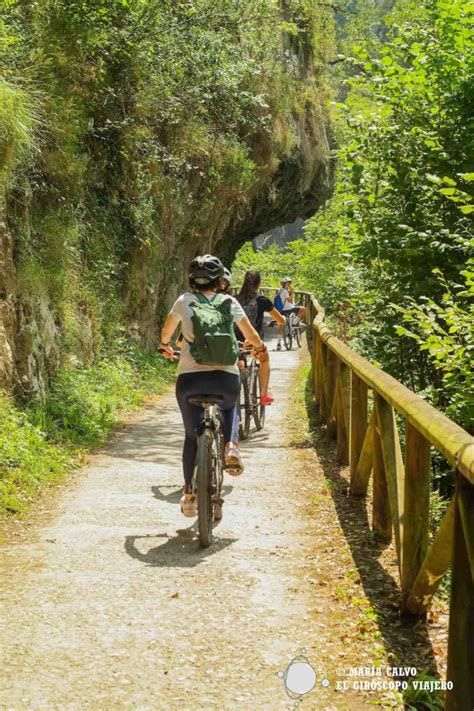 La Senda Del Oso En Bici Asturias Espectacular En La M S C Lebre V A