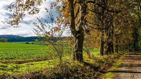 Herbst141 Wetterau Hessen Germany Vitalij Sosna Flickr