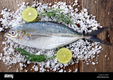 Blue jack fish hi-res stock photography and images - Alamy