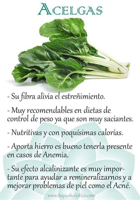 Acelgas Nutrici N Beneficios De Alimentos Frutas Y Verduras Beneficios