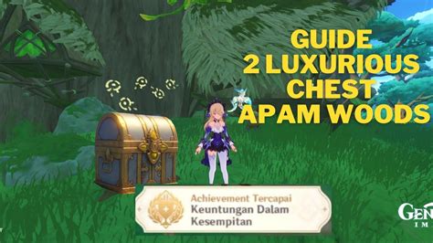 Guide 2 Luxurious Chest Apam Woods Sumeru Genshin Impact Guide YouTube