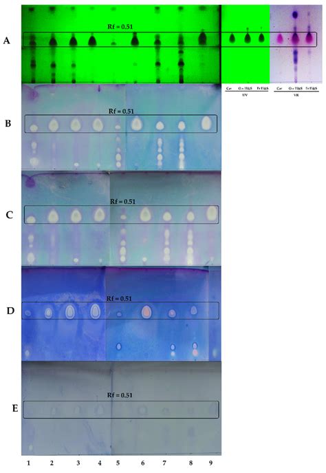 Results Of Thin Layer Chromatography Direct Bioautography To Eos