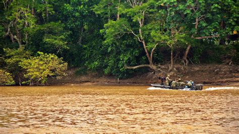 Destrucción Del Amazonas Las Principales Amenazas Para La Mayor Selva