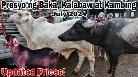 July Presyo Ng Baka Kambing At Kalabaw Dji Osmo Action