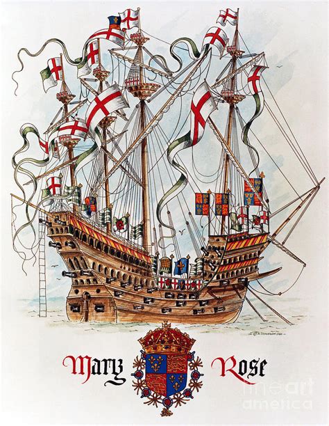 The Mary Rose Painting By Andrew Stewart Jamieson