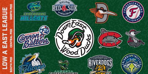 MLB Announces Minor League Baseball Teams | MiLB.com