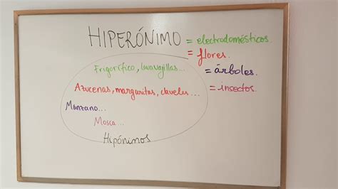 HIPERÓNIMOS E HIPÓNIMOS YouTube