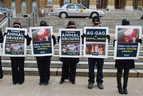 Victory Federal Judge Strikes Down Utah ‘ag Gag Law That Silenced