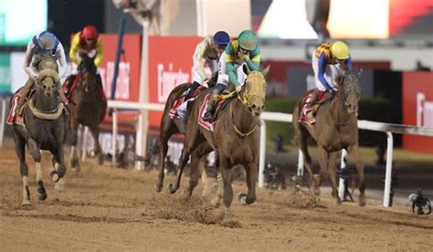 Jockey Yuga Kawada C On Ushba Editorial Stock Photo Stock Image