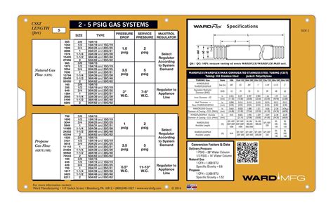 Wardflex Datalizer Slide Chart