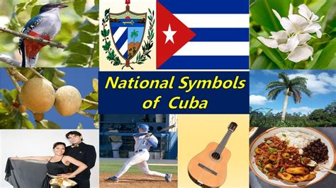 Cuba National Bird And Flower | Best Flower Site